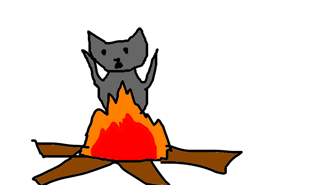 gato queimado