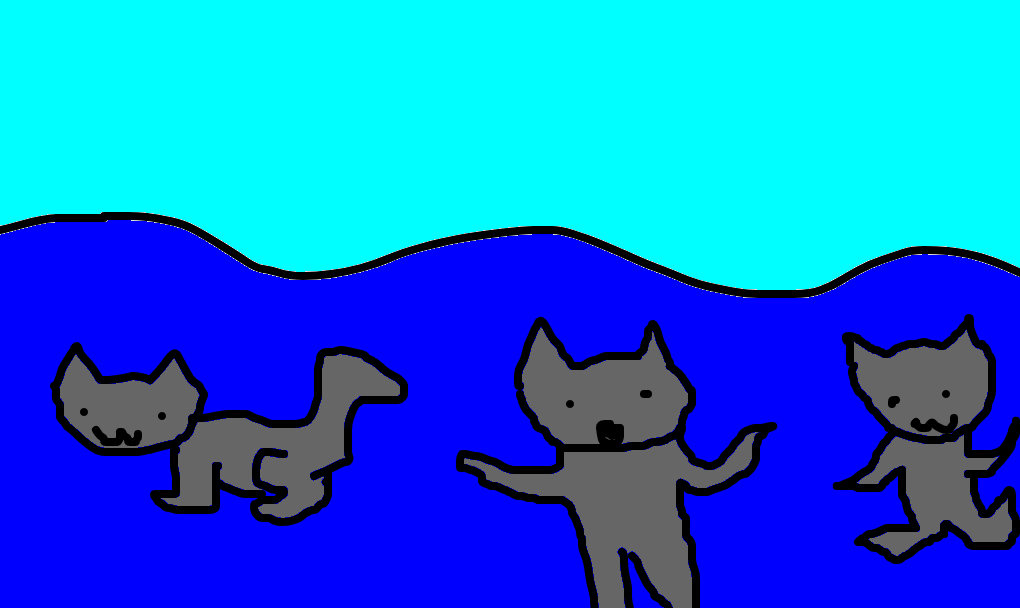 mar de gatos