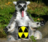 lemure_radioativo