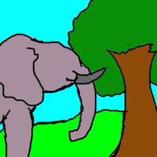 Um elefante sem olho
