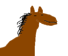 Cavalo lokao