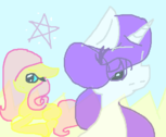 rarity and shy