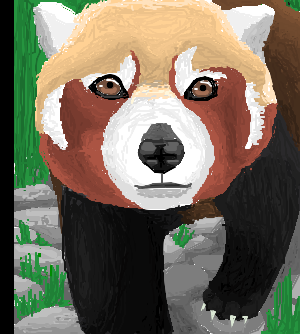 Panda-vermelho *-*