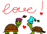 amor de tartaruga