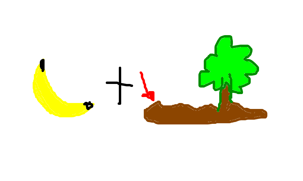 banana-da-terra