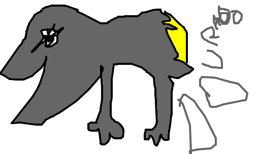 mico-leão-preto