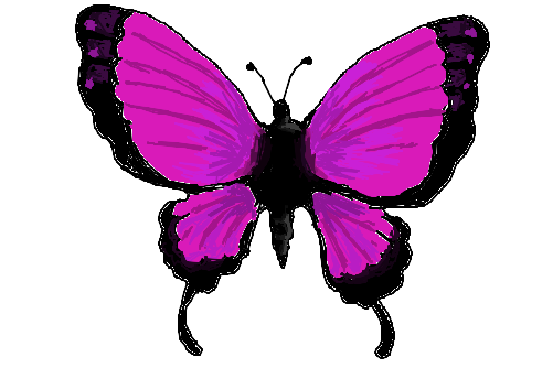 Kika´s Butterfly