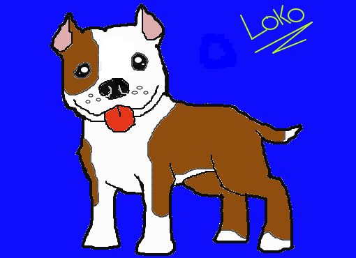 Cão Loko
