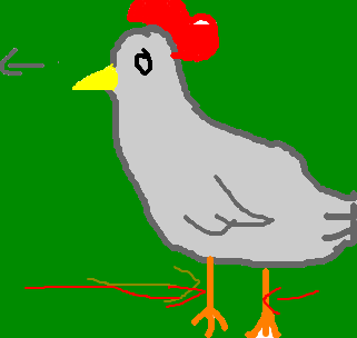 pé-de-galinha