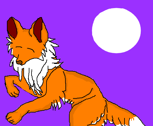 Raposa ( Fox)