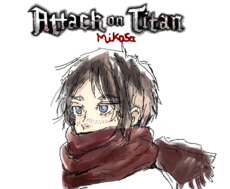 Mikasa p/mikasa678