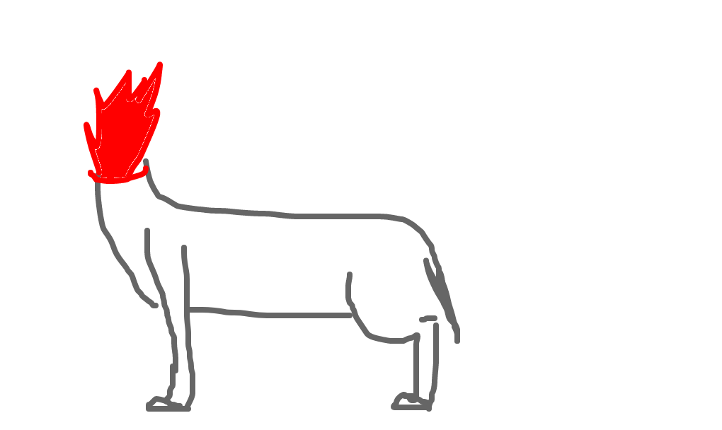 mula sem cabeça