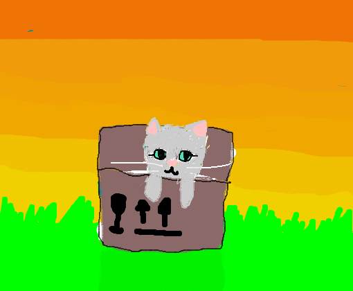 Gato na caixa :3 