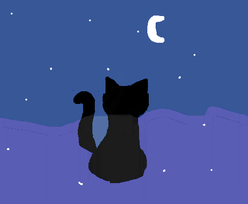 Gato olhando lua