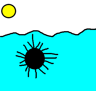 ouriço-do-mar