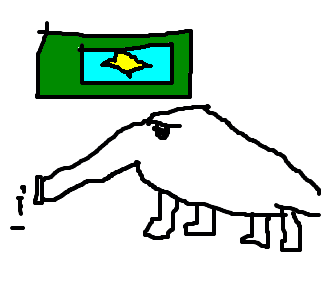 tamanduÃ¡-bandeira vicx