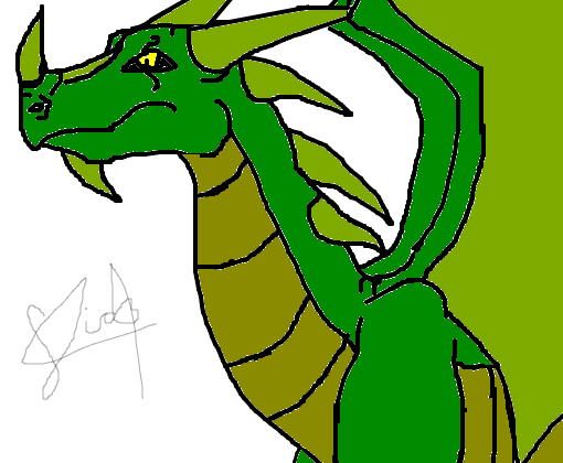 Dragão dragon 
