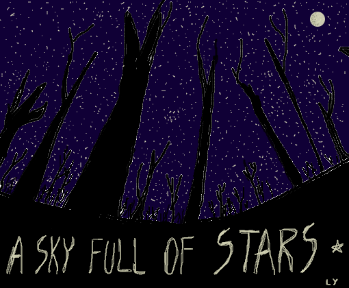 A Sky Full of Stars