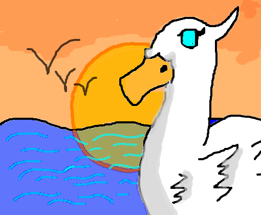 Cisne branco no por do Sol