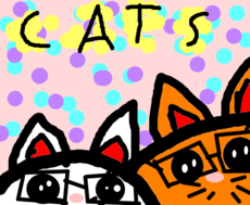 Gatos/cats