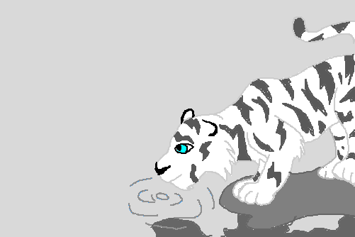 tigre branco (: