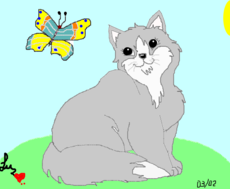 cat & butterfly :)
