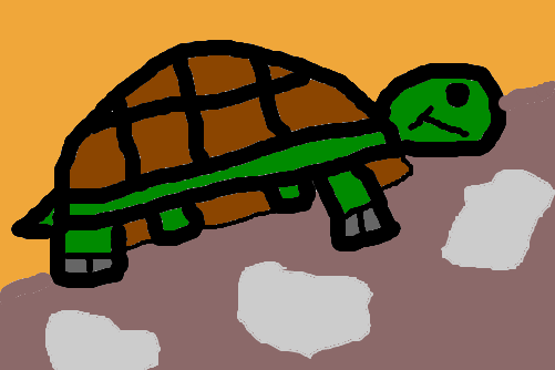 Tartaruga-P/ obiologo