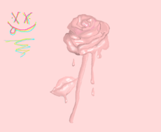 Dripped Rose