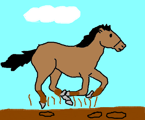 Cavalo Sujo de lama
