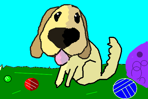 Cachorro com bolas