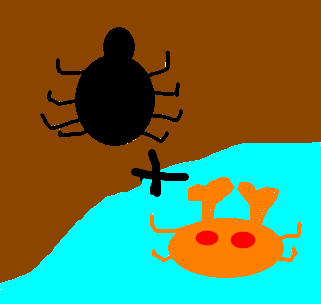 aranha-caranguejeira