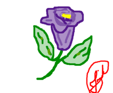 A flor