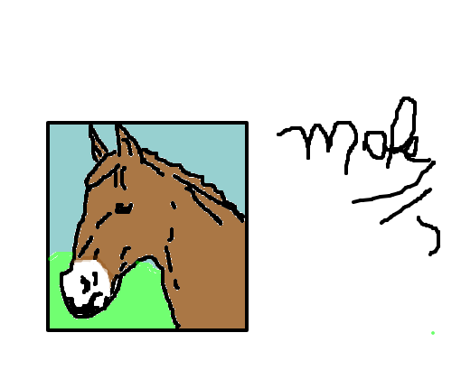 Cavalo