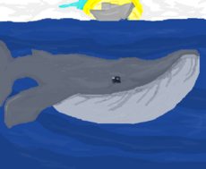 baleia azul 