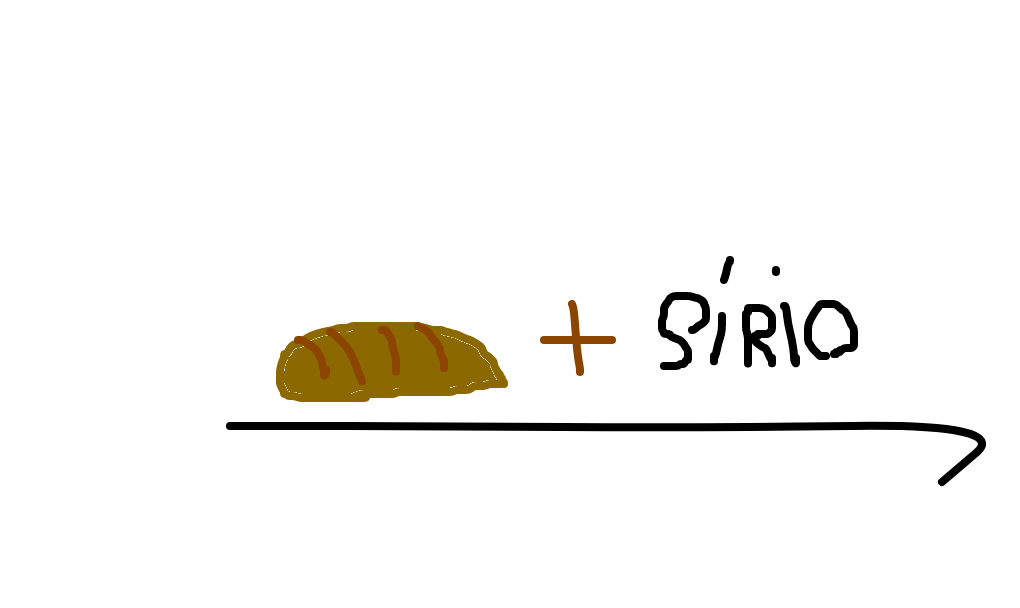 pão sírio