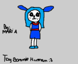 Toy Bonnie Human