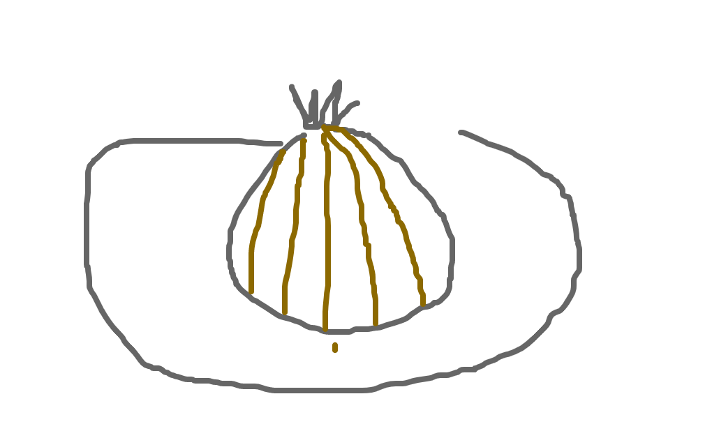 cebola empanada