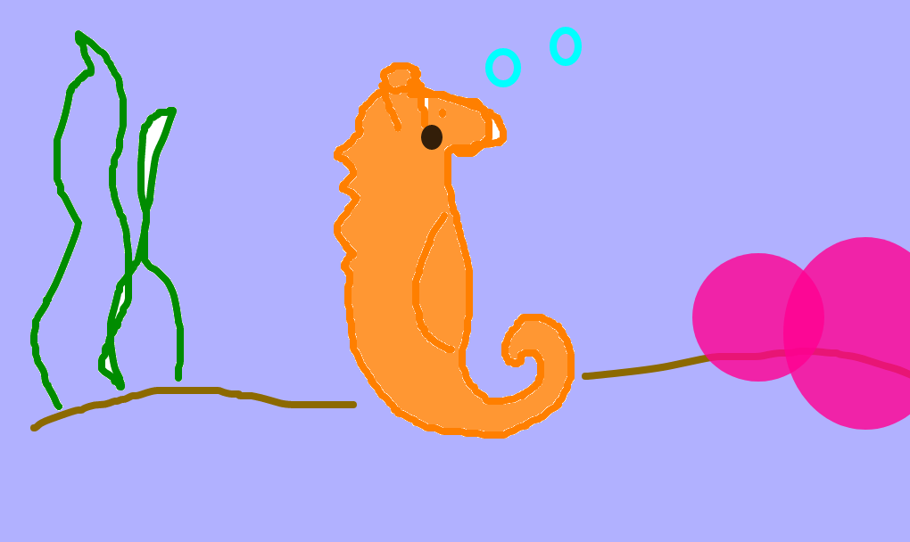 seahorse seahell