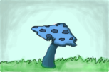 Cogumelo Azul