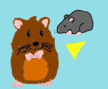 Hamster e ratinho