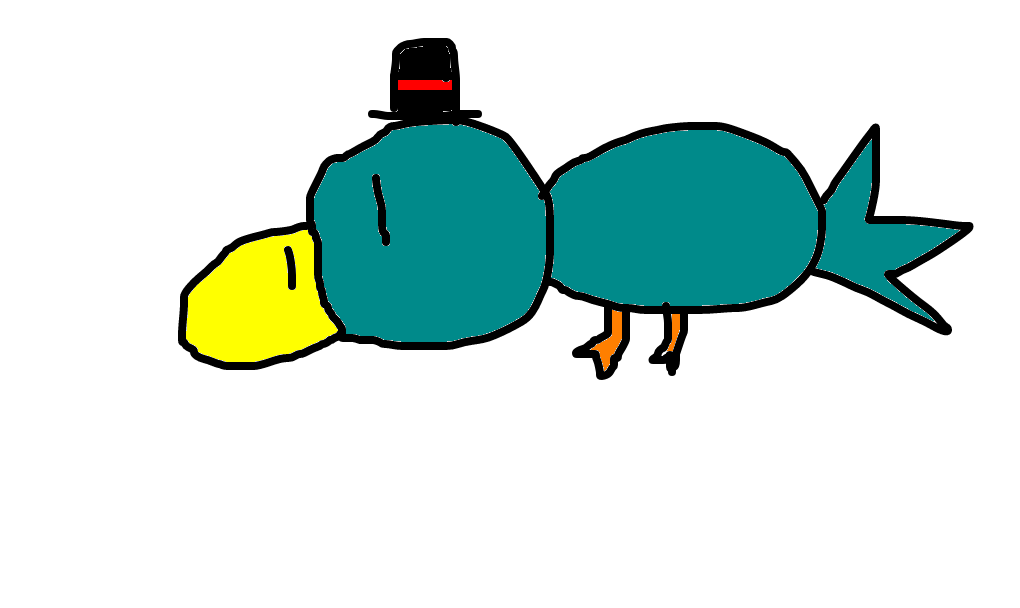 ornitorrinco