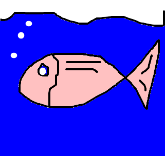 salmão