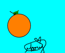 A melhor laranja 
