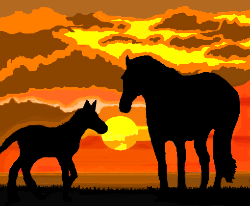 Cavalos no Pôr do Sol