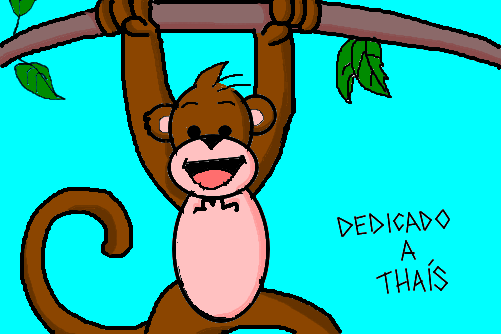 Macaco colorido