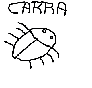 carrapato