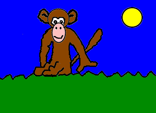 Macaco na noite