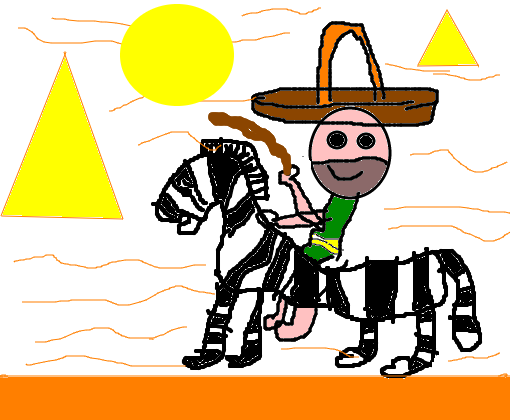 cowboy da zebra