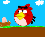 Angry Birds :D
