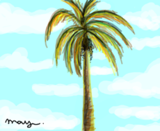 Minha terra tem palmeiras...